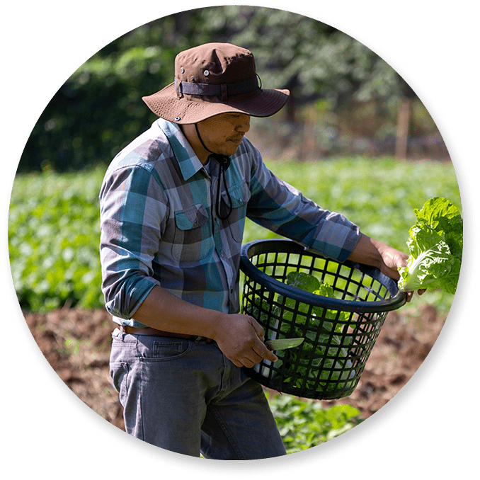 Agricultor 2